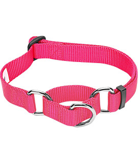 Blueberry Pet Essentials Martingale Safety Training Dog Collar, French Pink, Small, Heavy Duty Nylon Adjustable Collars For Dogs