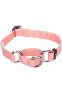 Blueberry Pet Essentials Martingale Safety Training Dog Collar, Baby Pink, Medium, Heavy Duty Nylon Adjustable Collars For Dogs
