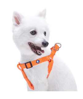 Blueberry Pet Essentials Classic Durable Solid Nylon Step-In Dog Harness, Chest Girth 165 - 215, Florence Orange, Small, Adjustable Harnesses For Puppy Boy Girl Dogs