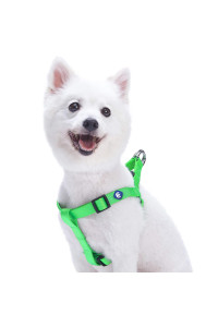 Blueberry Pet Essentials Classic Durable Solid Nylon Step-In Dog Harness, Chest Girth 165 - 215, Neon Green, Small, Adjustable Harnesses For Puppy Boy Girl Dogs
