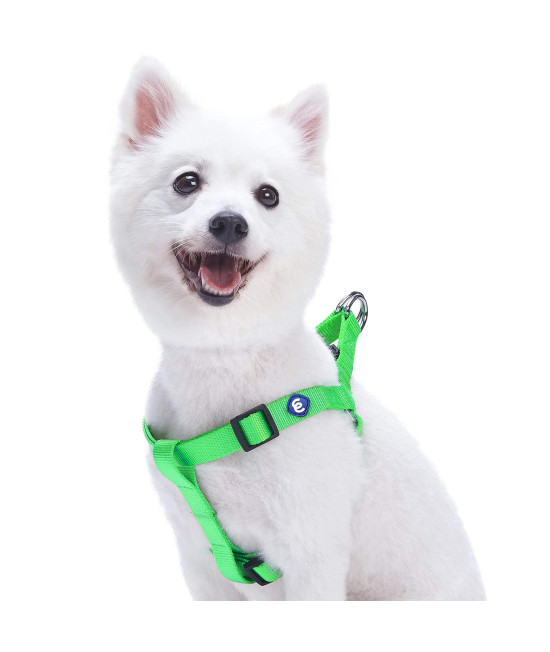 Blueberry Pet Essentials Classic Durable Solid Nylon Step-In Dog Harness, Chest Girth 165 - 215, Neon Green, Small, Adjustable Harnesses For Puppy Boy Girl Dogs
