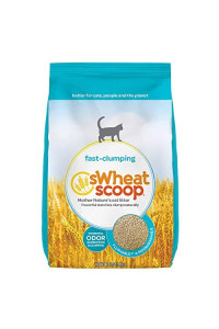 sWheat Scoop Natural Biodegradable Cat Litter, Fast-Clumping, 12 Pound