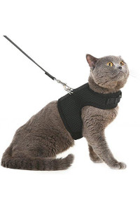 Pupteck Soft Mesh Cat Vest Harness And Leash Set Puppy Padded Pet Harnesses Escape Proof For Cats Small Dogs, Black Small