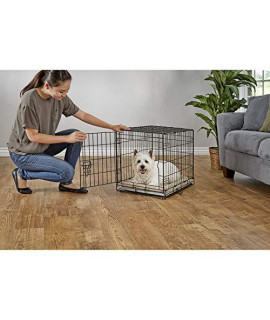 Petco Brand - You & Me 1-Door Folding Dog crate 24 L x 17 W x 19 H Small