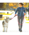 tobeDRI Heavy Duty Dog Leash - 2 Padded Handles, 6 feet Long - Dog Training Walking Leashes for Medium Large Dogs (Red)
