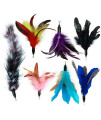 Cat Wand Feather Refills For Interactive Cat And Kitten Wands Include 6 Pieces Replacement Feathers And 1 Soft Furry Tail (7 Pieces)