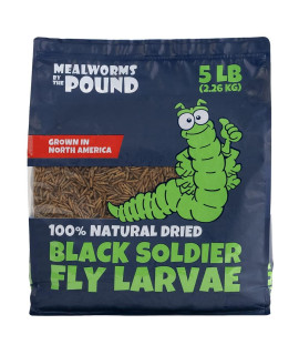 North American Grown Dried Black Soldier Fly Larva (5 lbs) - More Calcium Than Mealworms - Treats for Chickens, Wild Birds, & Reptiles