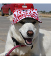 LoveWally Dog Outdoor Pet Hat Adjustable and colors (Small, Red Print)