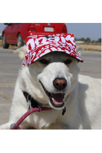 LoveWally Dog Outdoor Pet Hat Adjustable and colors (Small, Red Print)