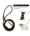 Wellbro Real Leather Slip Dog Leash, Super Thin and Adjustable Slip Lead, Soft and Slim, Suit for Puppies Small Dogs, 160cm Long by 0.6cm Wide, Brown