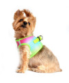 American River Choke-Free Dog Harness - Rainbow Ombre