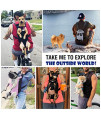 Pawaboo Pet Carrier Backpack, Adjustable Pet Front Cat Dog Carrier Backpack Travel Bag, Legs Out, Easy-Fit for Traveling Hiking Camping for Small Medium Dogs Cats Puppies, Extra Large, Black