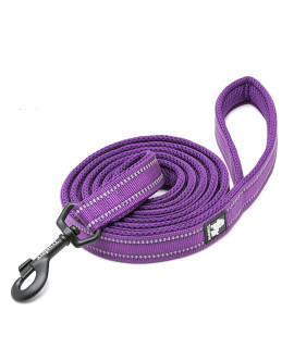 chais choice - Premium Outdoor Adventure Dog Leash - Padded, 3M Reflective Leash, Pet Products for Matching Dog Leash, Dog Harness and Dog collar, Purple, 78 Medium