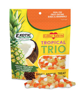 Tropical Trio - Healthy Natural Mixed Dried Fruit Treat - Papaya, Coconut, Pineapple - for Sugar Gliders, Squirrels, Prairie Dogs, Skunks, Marmosets, Parrots, Birds, Rats, Small Pets (4.5 oz.)