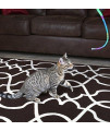 CAT DANCER Original Cat Toy  Safe Wand with Colorful Teaser Ribbon  Flexible Exerciser  [2 Pack]
