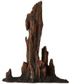 Underwater Treasures Petrified Wood - Large