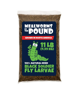 North American Grown Dried Black Soldier Fly Larva (11 lbs) - More Calcium Than Mealworms - Treats for Chickens, Wild Birds, & Reptiles