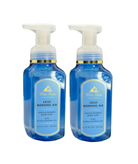 Bath Body Works crisp Morning Air gentle Foaming Hand Soap Set of 2