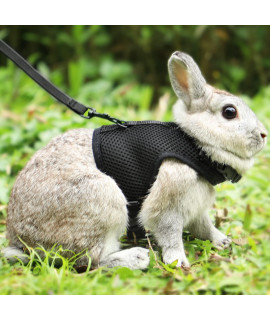 Pettom Bunny Rabbit Harness With Stretchy Leash Cute Adjustable Buckle Breathable Mesh Vest For Kitten Small Pets Walking (L(Chest:11-137 In), Black)