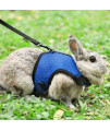 Pettom Bunny Rabbit Harness With Stretchy Leash Cute Adjustable Buckle Breathable Mesh Vest For Kitten Small Pets Walking (S(Chest:108-129 In), Blue)