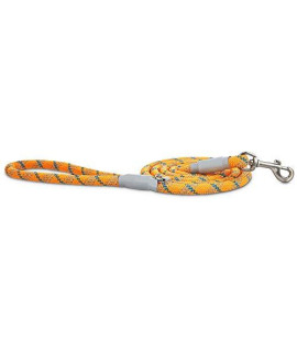 Petco Brand - Good2Go Reflective Braided Rope Leash in Orange, 6 ft., One Size Fits All