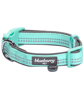 Blueberry Pet Soft & Safe 3M Reflective Neoprene Padded Adjustable Dog Collar - Mint Blue Pastel Color, Small, Neck 12-16