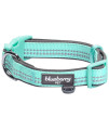 Blueberry Pet Soft & Safe 3M Reflective Neoprene Padded Adjustable Dog Collar - Mint Blue Pastel Color, Large, Neck 18-26