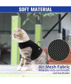 Pupteck Soft Mesh Cat Vest Harness And Leash Set Puppy Padded Pet Harnesses Escape Proof For Cats Small Dogs, Black Large