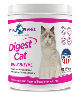 Vital Planet - Digest Cat Digestive Pancreatic Enzyme Blend with Pumpkin and Ginger to Support the Pancreas and Healthy Digestion with Pancreatin, Salmon Flavored Powder for Cats - 111 Grams 30 Scoops