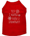 Yes I Want to Build A Snowman Rhinestone Dog Shirt Red 14