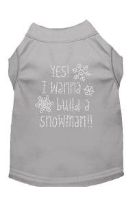 Yes I Want to Build A Snowman Rhinestone Dog Shirt grey Xs 8