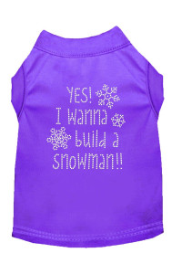 Yes I Want to Build A Snowman Rhinestone Dog Shirt Purple XXL 18