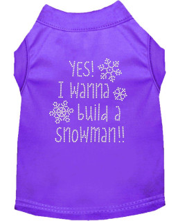 Yes I Want to Build A Snowman Rhinestone Dog Shirt Purple XL 16