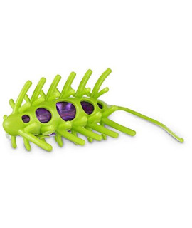 Petco Brand - Leaps & Bounds Wiggle Bug Cat Toy, Green