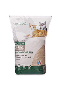 Petco Brand - So Phresh Extreme Clumping Unscented Grass Seed Cat Litter, 20 lbs.