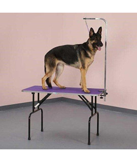 Folding Grooming Table With Arm & Loop Strong Groomers Tabletop For Pet & Dogs(Small - 30 X 18 Purple)