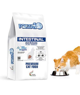 Forza10 Active Intestinal Support Diet Dry Cat Food For Adult Cats, Cat Food Dry For Upset Stomach, Diarrhea And Intestinal Disorders, Wild Caught Anchovy Flavor, 4 Pound Bag