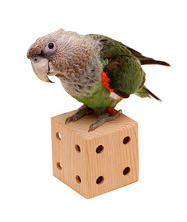 Natural Foraging Box Toy for Parrots
