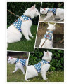 Yizhi Miaow Cat Harness and Leash for Walking Escape Proof, Adjustable Cat Walking Jackets, Padded Stylish Cat Vest Polka Dot Blue, Large