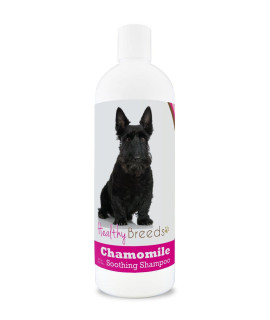 Healthy Breeds chamomile Dog Shampoo conditioner with Oatmeal Aloe for Scottish Terrier - OVER 200 BREEDS - 8 oz - gentle for Dry Itchy Skin - Safe with Flea and Tick Topicals