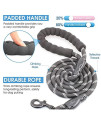 BAAPET 2/4/5/6 FT Strong Dog Leash with Comfortable Padded Handle and Highly Reflective Threads for Small Medium and Large Dogs (5FT-1/2, Black)
