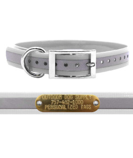 Outdoor Dog Supplys 1 Wide Reflective D Ring Dog Collar Strap With Custom Brass Name Plate (18 Long, Reflective White)