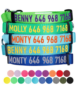 Blueberry Pet Essentials Personalized Martingale Safety Training Dog Collar, Mint Blue, Medium, Adjustable Customized Id Collars For Dogs Embroidered With Pet Name & Phone Number