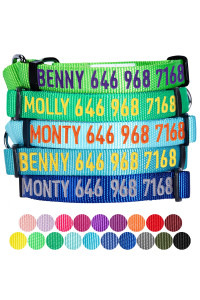 Blueberry Pet Essentials Personalized Martingale Safety Training Dog Collar, Turquoise, Small, Adjustable Customized Id Collars For Dogs Embroidered With Pet Name & Phone Number