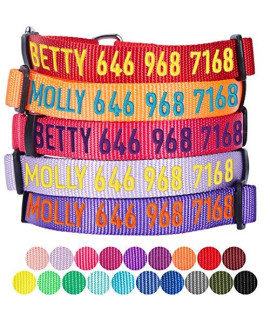 Blueberry Pet Essentials Personalized Martingale Safety Training Dog Collar, Dark Orchid, Large, Adjustable Customized Id Collars For Dogs Embroidered With Pet Name & Phone Number