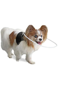 Walkin Halo Harness | Blind Harness for Dogs | Adjustable for a Custom Fit | for Pets Under 30 pounds | Lightweight and Flexible