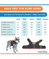 Walkin Halo Harness | Blind Harness for Dogs | Adjustable for a Custom Fit | for Pets Under 30 pounds | Lightweight and Flexible