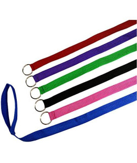 Downtown Pet Supply 6 Foot Slip Lead, Slip Leads, Kennel Leads Bulk Dog Leashes with O Ring for Dog Pet Animal Control Grooming, Shelter, Rescues, Vet, Veterinarian, (84 Pack)