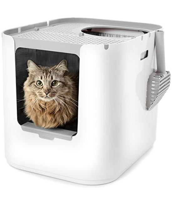 Modkat XL Litter Box, Top or Front-Entry Configurable, Includes Scoop and Liners - White