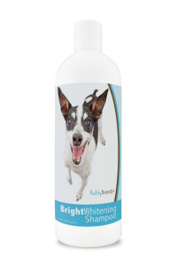Healthy Breeds Rat Terrier Bright Whitening Shampoo 12 oz